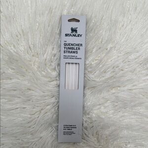Stanley Quencher Tumbler Straws
